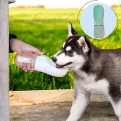 Item thumbnail for item d6126ffc-e480-4491-96bd-81b6fa49d8f8