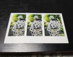 いれいす 悠佑 アニキ 実写チェキ