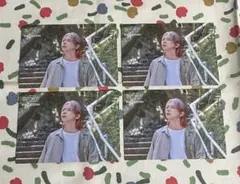 Mrs. GREEN APPLE ミセス バベル フォトカ 藤澤涼架