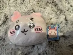 Item thumbnail for item d4f7c6c0-c07e-4896-8c12-fc51531338ae