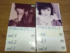 やまとなでしこ DVD-BOX〈6枚組〉 松嶋菜々子 / 堤真一 やまとなでしこ DVD-BOX : 松嶋菜々子, 堤真一, 矢田亜希子, 筧利夫