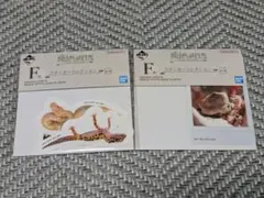 Item thumbnail for item 58651690-809e-4418-a408-97b920a7a097