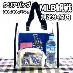 2025年最新】ドジャースタジアム クリアバッグの人気アイテム - メルカリ