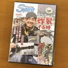 Item thumbnail for item 4c47efae-f76c-456a-a214-b4944041c388