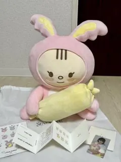 【最終値下げ】アーティストメイド ジョンハン トラム seventeen