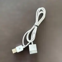 未使用‼️Apple USBケーブル 30 Dockコネクタ