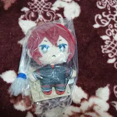 ペ*ノ様 ツイステ リドル 運動着 マスコット ぬいぐるみ