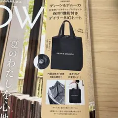 GLOW付録 DEAN & DELUCA 保冷機能付きデイリーBIGトート