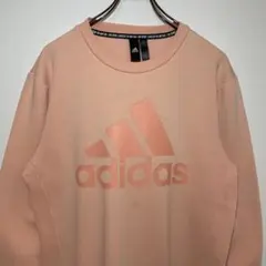 adidas アディダス　スウェット　サイズL トレーナー　デカロゴ　希少　古着