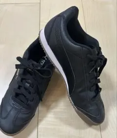 Item thumbnail for item e6bfd409-407d-4afd-a32c-b08e22ae46a4