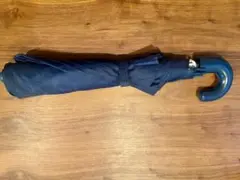 Item thumbnail for item ee4cba65-b0dd-4d5c-89ad-1b9e2dd9b81c