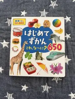 はじめてずかん　これな〜に？650 絵本