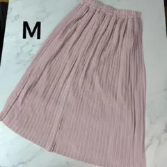 イーハイフンワールドギャラリーロングスカート