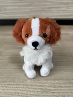 12/18 コーイケルホンディエのおでこちゃんおすわりLMC べえ