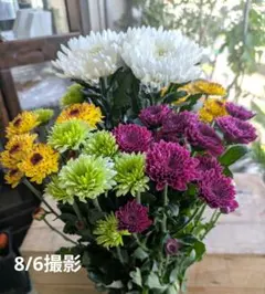 お供花　切り花　お盆花のサムネイル