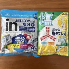 森永 inゼリーミニ 塩分プラス & アサヒ 三ツ矢塩タブレットのサムネイル