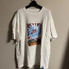 NIKE ナイキ　Tシャツ