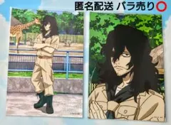 僕のヒーローアカデミア 東武動物公園 サファリルック ブロマイド 相澤消太