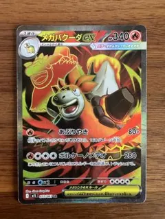 KZ様 リクエスト 3点 まとめ商品