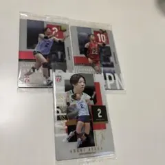 女子日本代表バレーボール カード 3枚セット