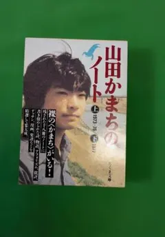 山田かまちのノート 上下2冊 - メルカリ