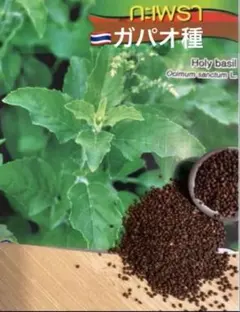 Chiyo Sonohara様 リクエスト 2点 まとめ商品
