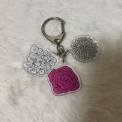 2026年最新】せぶいれのうた アクキーの人気アイテム - メルカリ