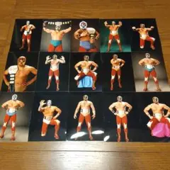 新日本プロレス、ザ・コブラ選手スタジオ撮影生写真15枚セット