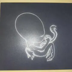 Sigur Ros / Agaetis Byrjun 国内盤CD