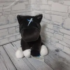 2026年最新】ヴィブロス アイドルホースの人気アイテム - メルカリ