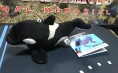 2025年最新】名古屋水族館 ぬいぐるみの人気アイテム - メルカリ