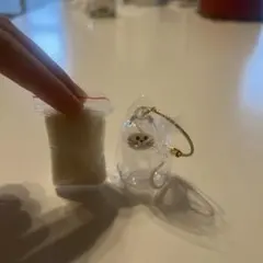 うちの子のけだまだま