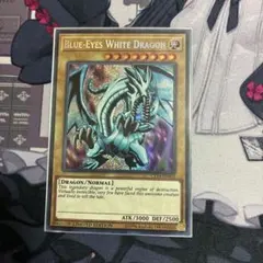 2026年最新】青眼の白龍 ct14の人気アイテム - メルカリ