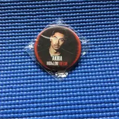 AKIRA 缶バッチ シール 首振りキーホルダー