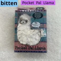 Item thumbnail for item 2a5e255a-bbef-4599-b65c-deda6e66738b