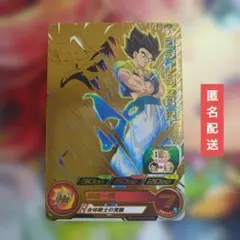 ゴジータ：BR　【まとめ売りならお値下げ頑張ります
