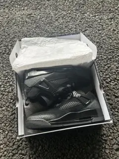 Nike Jordan Spizike Low Black Cat