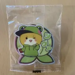 シヴァ アクリルピンバッジ 緑色 カラフルピーチ