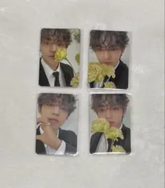 SEVENTEEN FML CARAT盤