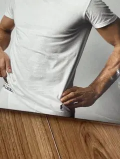 Polo Ralph Lauren クラシックフィット Tシャツ L ラルフ