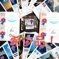【希少品】【非売品】SITCA ピンバッチ1個&トレーディングカード18枚付き！