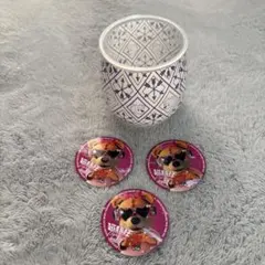 フレッチェ　超熱狂シール（3枚）➕小物入れ（非売品）