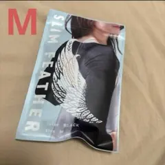 Item thumbnail for item 1b247cd1-733e-4372-9a25-568774b90e48