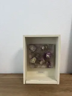 dry flower arrangement オレガノ・ケントビューティ