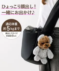 【新品】3COINS ひょっこり顔出しバッグ　本日発売商品♡※オンライン完売商品 3COINS - 3COINS スリーコインズ ひょっこり顔出しベアバッグ ブラウン