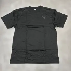 Item thumbnail for item bd60322e-d8af-482b-b75c-2b2ce0329b38