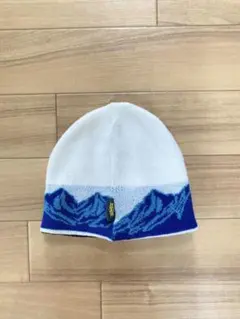 Gap x Sean Wotherspoon キャップswag yoko sk8 - メルカリ