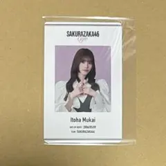 【匿名配送】 櫻坂46 向井純葉 カフェ 特典 IDカード
