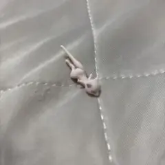 ミュウ キャラクターグッズ
