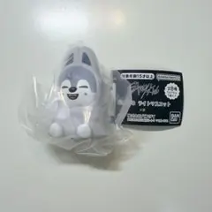 straykids スキズ SKZOO ライトマスコット バンチャン